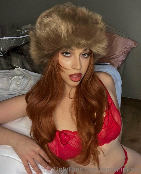 エボニートップオンリーファン パーフェクト 画像