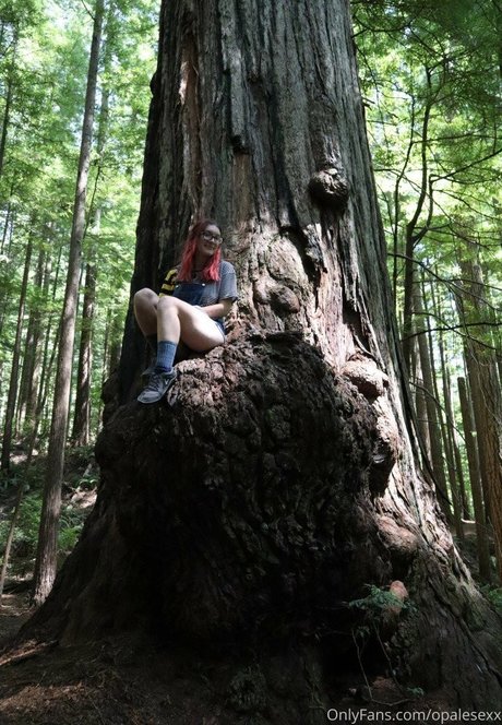 2024年のトップOnlyFans ホットxxx 写真