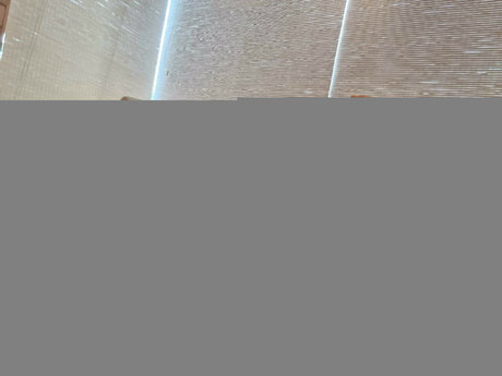 Jessie Rogue ポルノスター 独占 画像