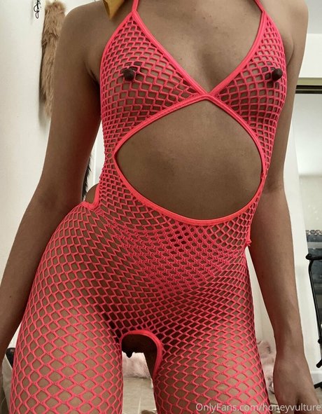 HoneyVulture トップスター ギャラリー