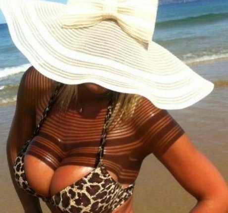 フラットオンリーファン 美しい 写真