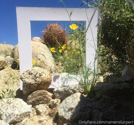 Marie Sweets アートモデル 写真