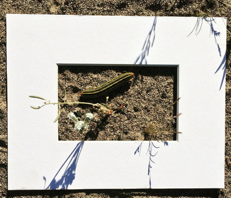 Marie Sweets ホットなモデル 画像