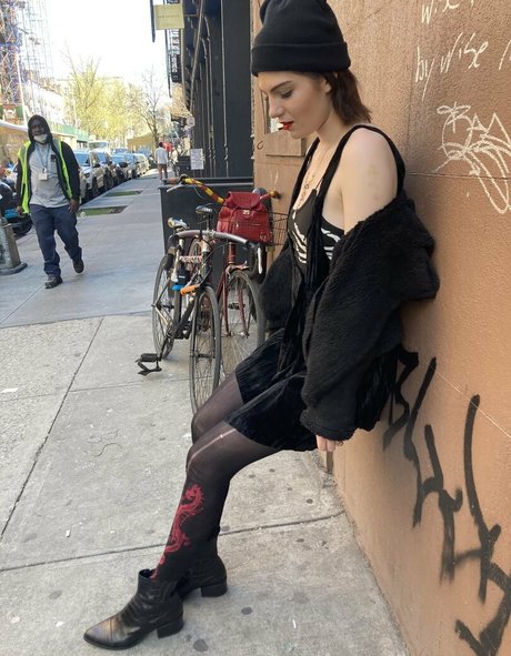 bambicat 高品質のスター 写真