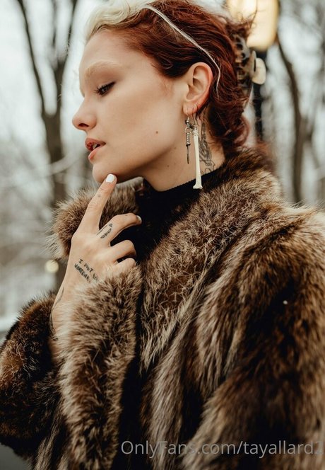 tayallard2 独占スター 写真