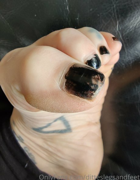 ditteslegsandfeet top profile image