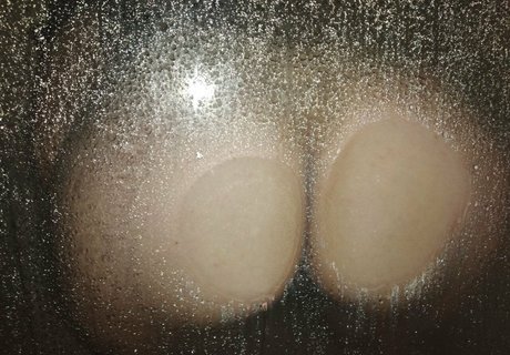 priscilasmith ポルノスター 無料 写真