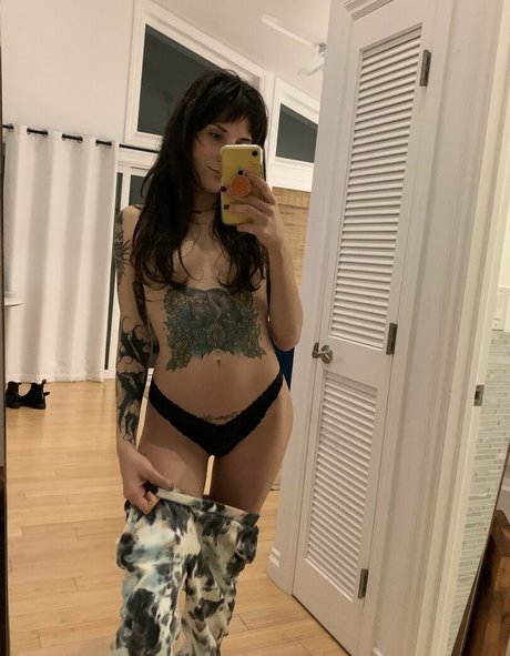 ashietaylor ポルノスター ギャラリー