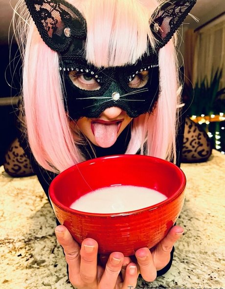 tastietreetz ホットモデル アーカイブ