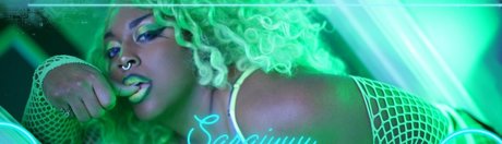 Saraiyuu ポルノスター パーフェクト アーカイブ