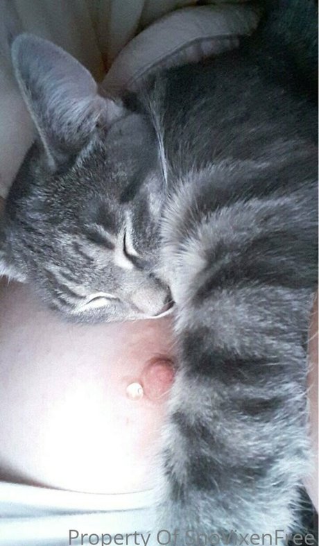 おばあちゃんの巨乳OnlyFans アートヌード 画像