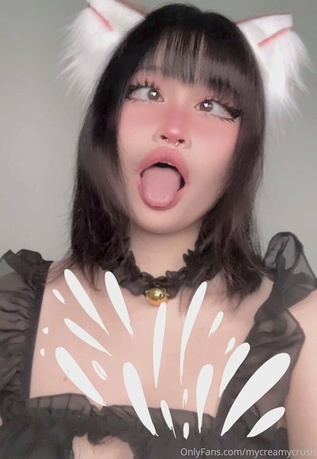 katsupremacy HDスター 写真