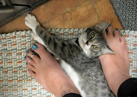 princessttoes ポルノスター ヌード 写真