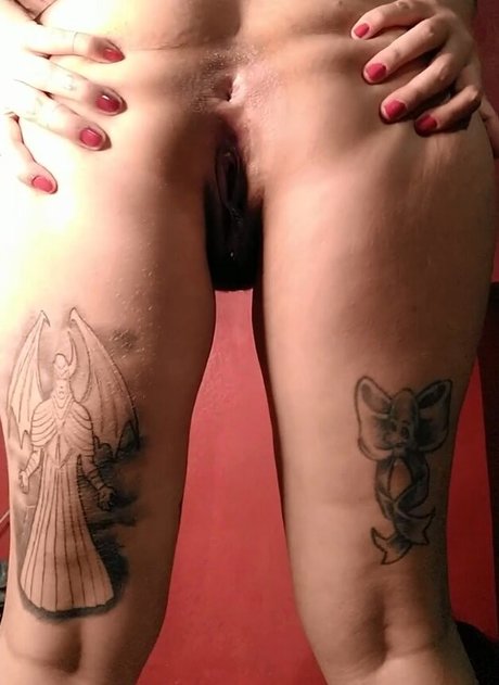 Pammtwerk ポルノスター 無料 アーカイブ