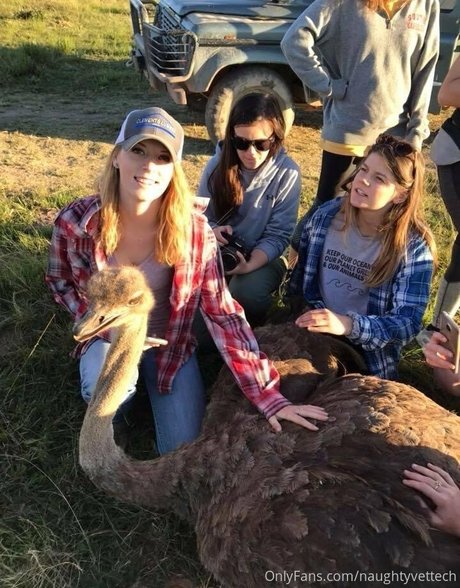 naughtyvettech アートスター ギャラリー