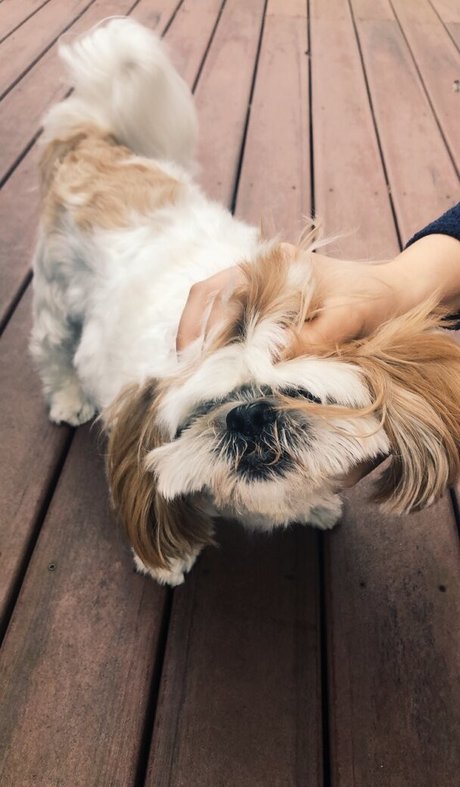 Leah Booth 美しいポルノスター 画像