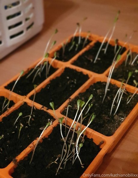 リップスオンリーファンズ 素敵 画像