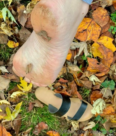 ellesfeet8 セックスポルノスター 写真