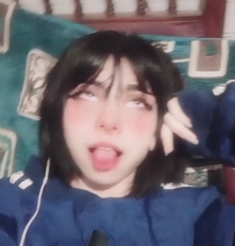 warensita___ スター 写真