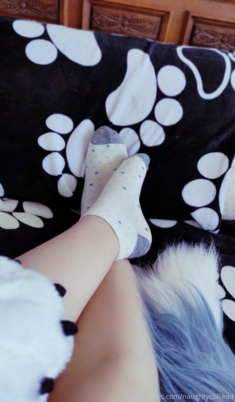 naughtycolliead profile image