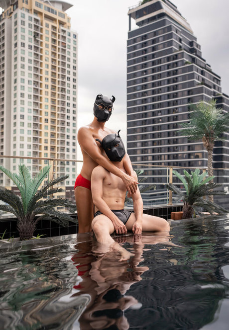 th cellox 高品質モデル ギャラリー