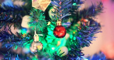 th cellox ポルノスター セクシー 写真