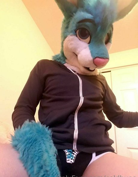 coldbuns ポルノスター 写真