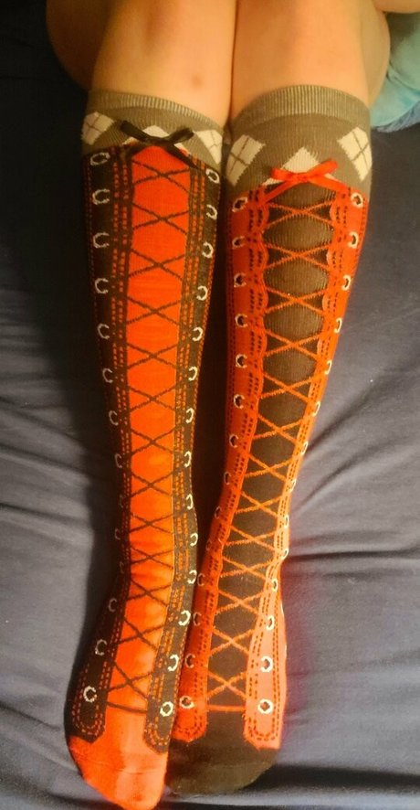 Kodi pup 限定スター 写真