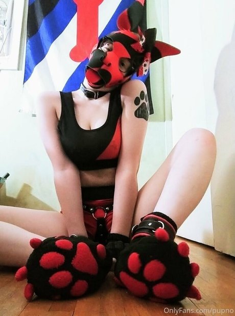 Kodi pup 無料モデル 写真