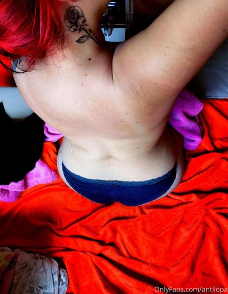 antilopa ホットモデル 画像