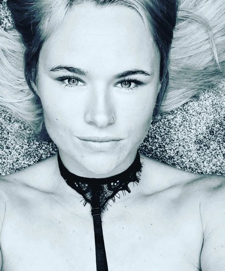 Abi Fox 独占モデル 写真