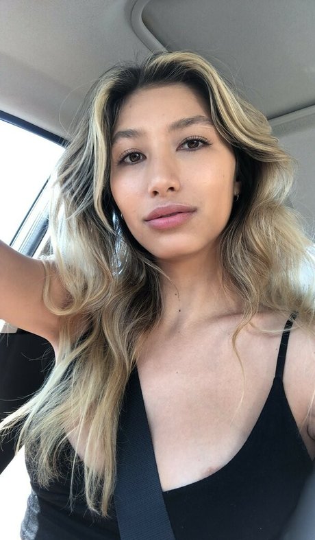 Dommmi HDモデル 写真