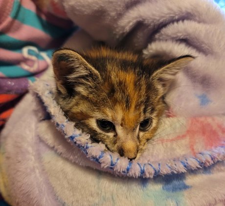 熟女オーガズムOnlyFans 無料 ギャラリー