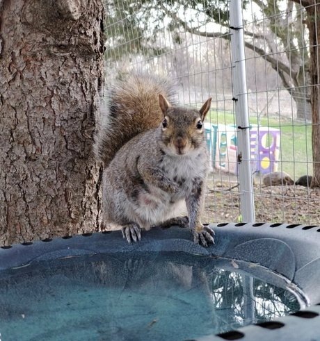 mikaylarainesfans かわいいモデル ギャラリー