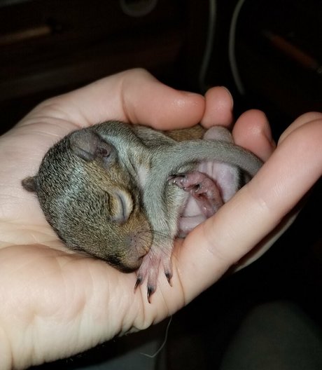 スムーズなOnlyFans アートxxx 写真