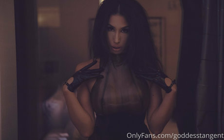 goddesstangent セクシーモデル 画像