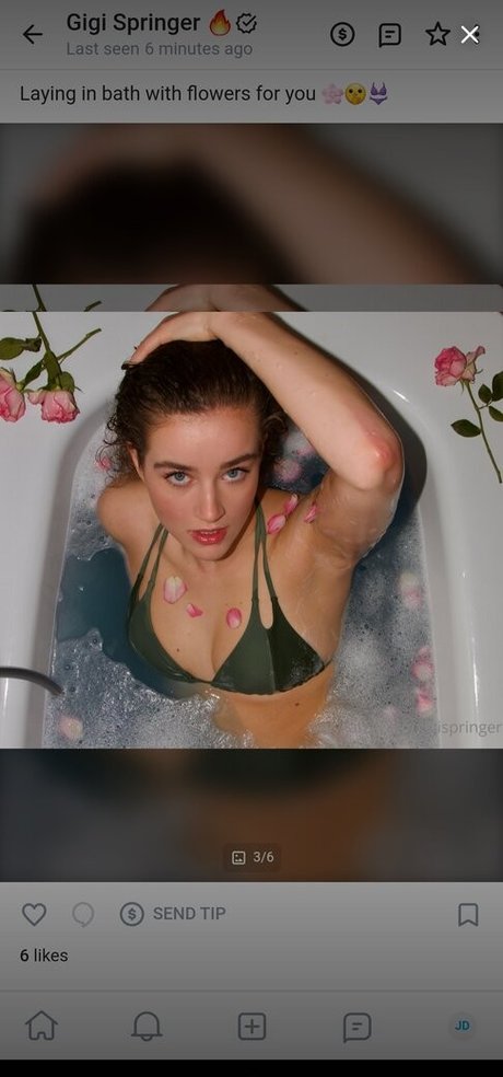 Gigi Springer ポルノスター アート 写真