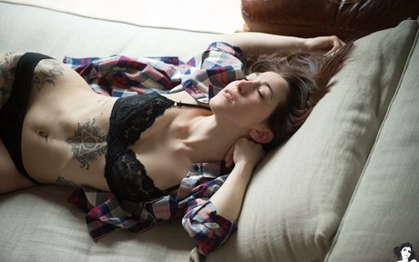 Zenit sg profile image