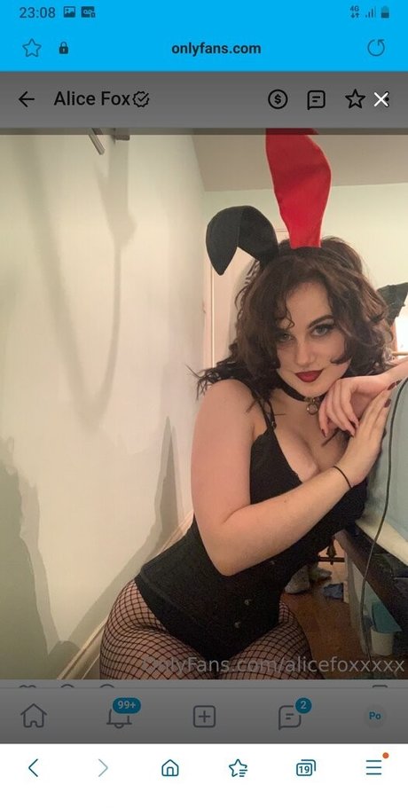 Alicefox6969 アダルトスター 写真