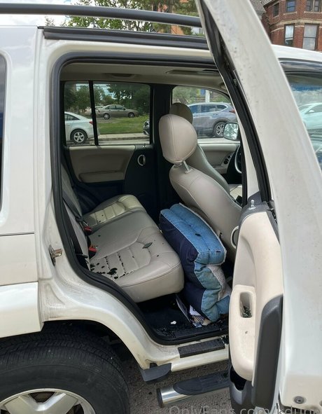 kdune ポルノスター パーフェクト 写真