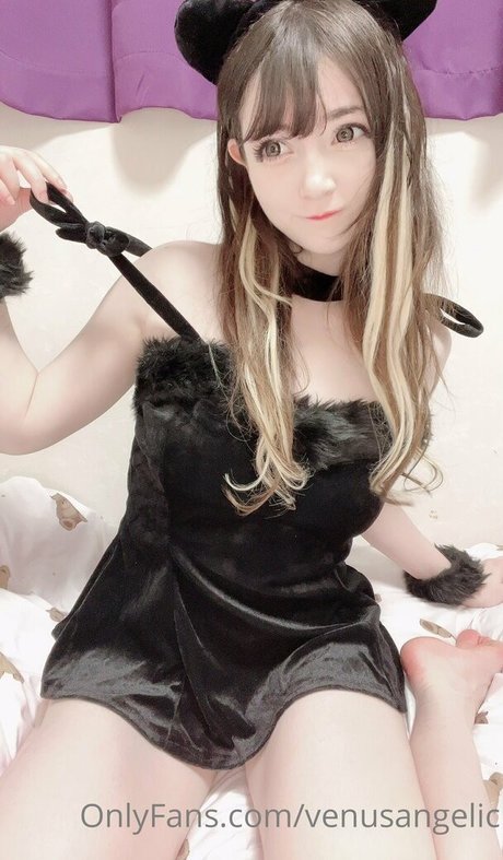 Venusangelic ホット女優 写真