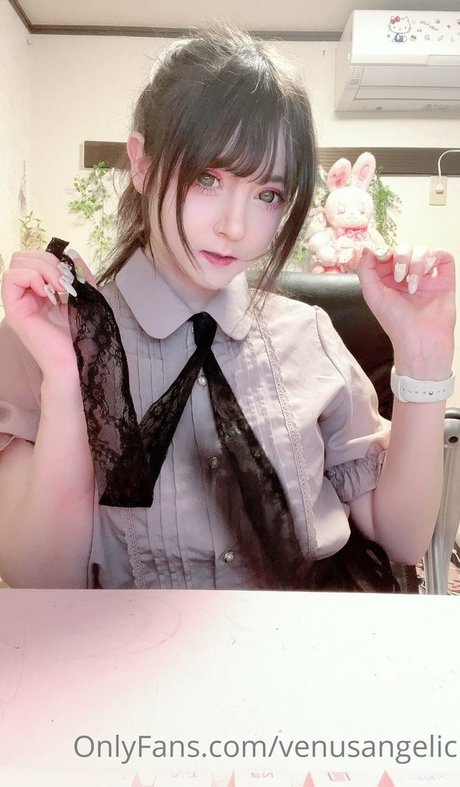 トゥワークオンリーファン 美しい 写真