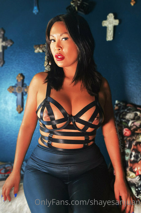 shayesanjuan アートモデル 写真