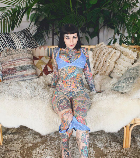 Tigerlilly アートスター アーカイブ