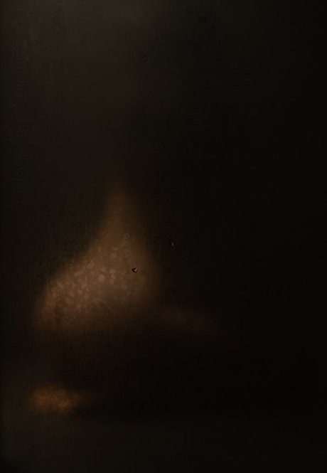 Mini Diva 限定モデル 画像