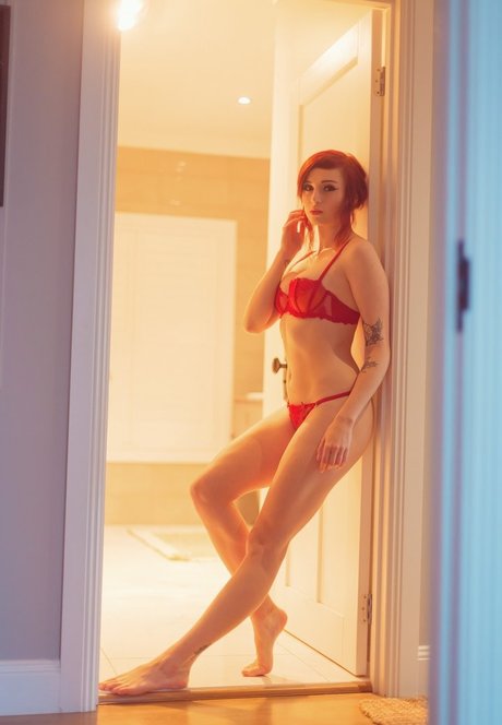 自然のみファン トップ 画像