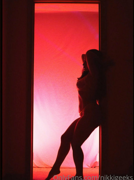 NikkiGeeks HDモデル 写真