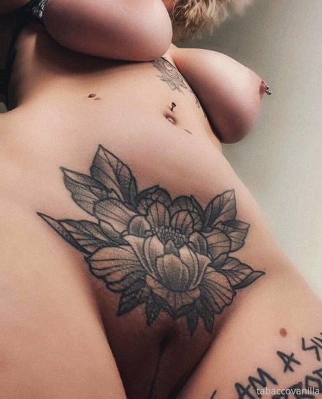 stunningeva エロティックなスター 写真