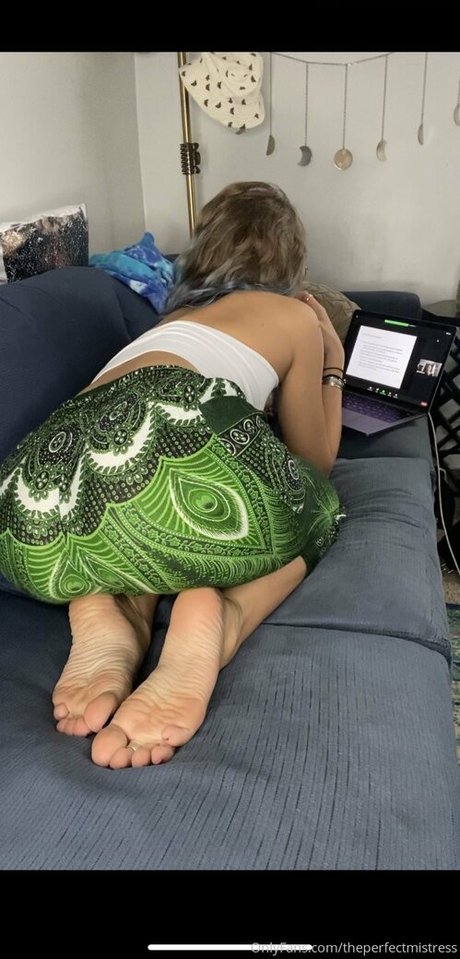 DMV オンリーファン ベスト 写真