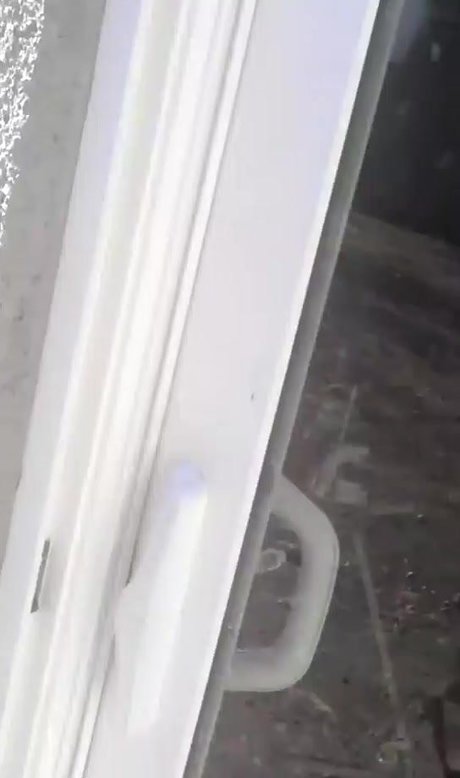 Krissylynn 最高のスター 画像